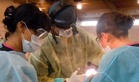 Treating a patient in the community up close view